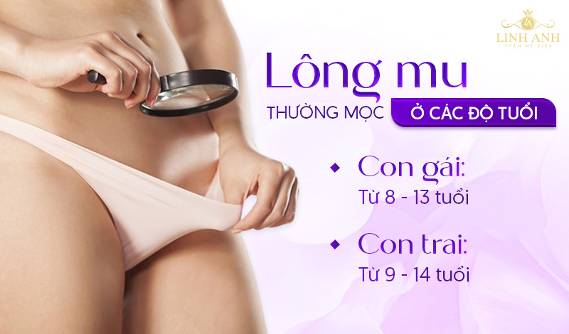Lông mu mọc ở độ tuổi nào Lông vùng kín có chức năng gì