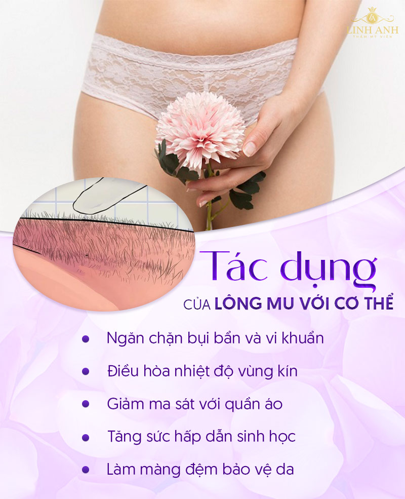 Tác dụng của lông mu đối với cơ thể Tác dụng của lông mu
