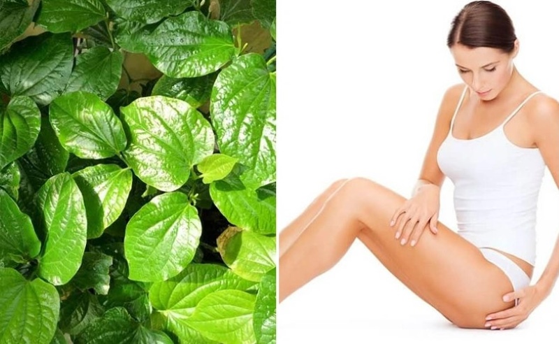 Cách giúp lông mọc chậm