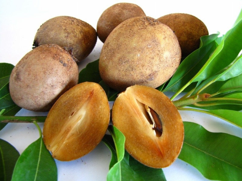 Cách làm rụng lông tự nhiên