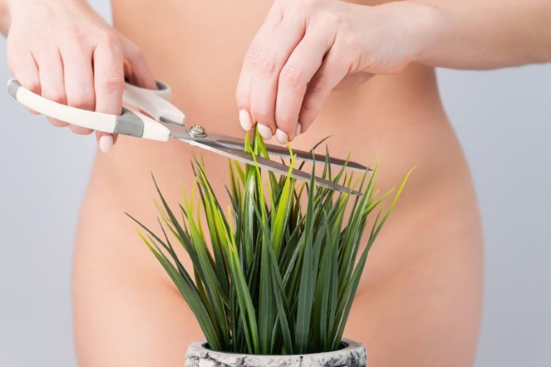 Cách tẩy lông vùng kín cho nữ tại nhà
