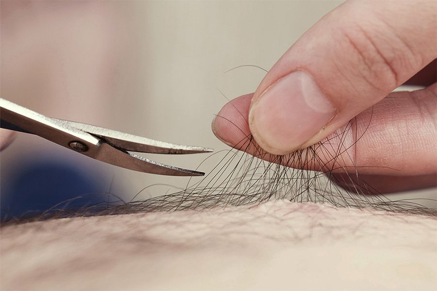 cách tỉa lông vùng kín bằng kéo cách tỉa lông vùng kín bằng kéo