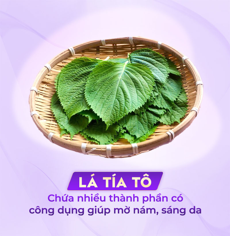 lá tía tô trị nám