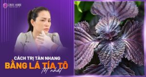 Cách trị tàn nhang bằng lá tía tô