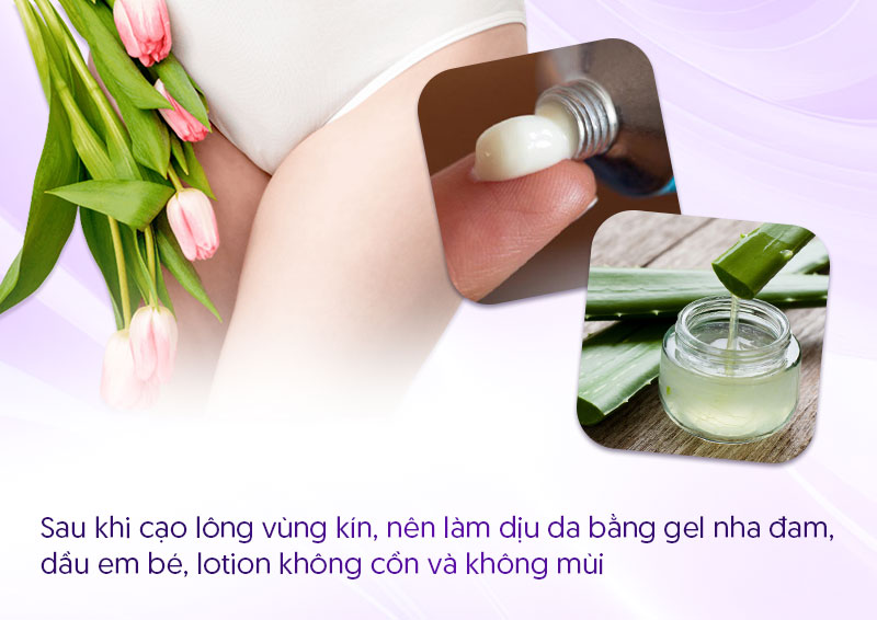 cạo lông vùng kín xong nên bôi gì cạo lông vùng kín xong nên bôi gì