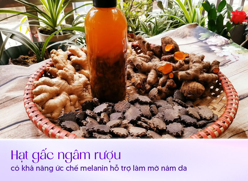hạt gấc ngâm rượu trị nám tàn nhang