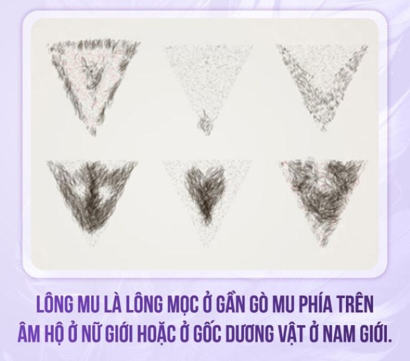 hình ảnh sau triệt lông bikini hình ảnh sau triệt lông bikini