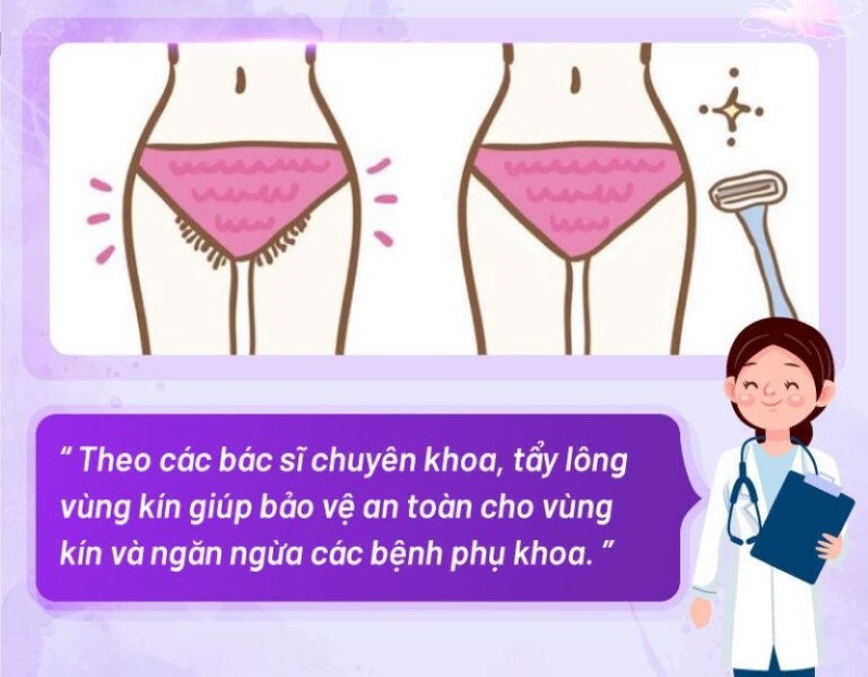 hình ảnh trước sau triệt lông bikini hình ảnh trước sau triệt lông bikini