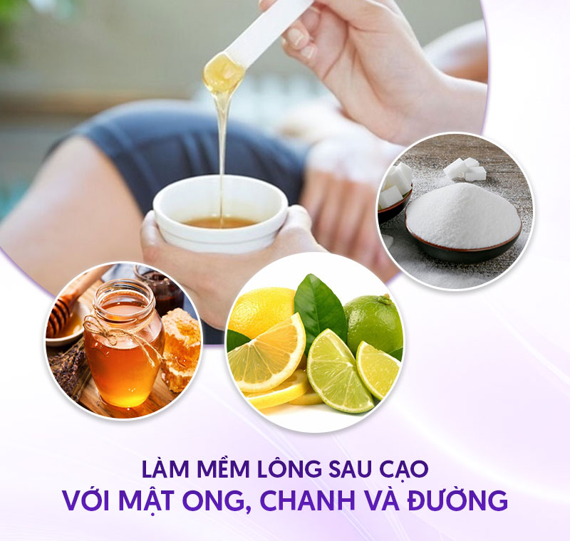 lông vùng kín sau khi cạo xong nên bôi gì lông vùng kín sau khi cạo xong nên bôi gì
