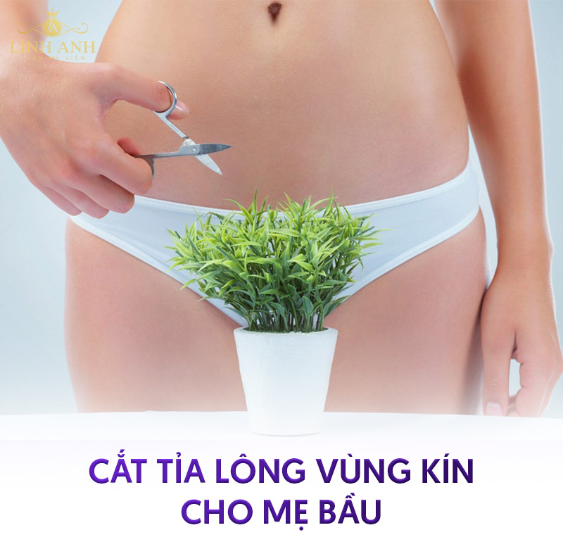 lưu ý khi tẩy lông vùng kín cho mẹ Bầu lưu ý khi tẩy lông vùng kín cho mẹ Bầu