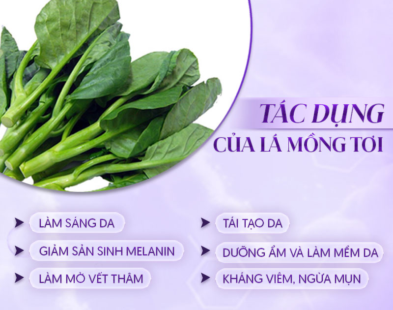 rau mồng tơi trị nám