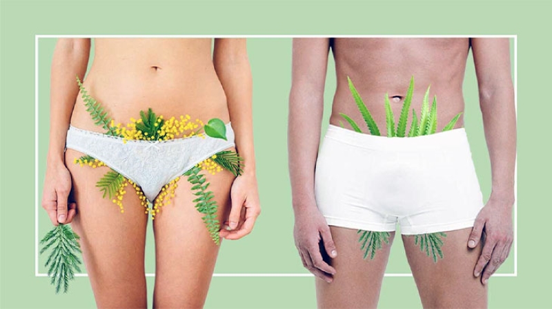 tác dụng của lông mu tác dụng của lông mu