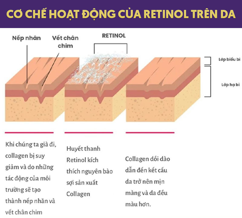 retinol tái tạo tế bào