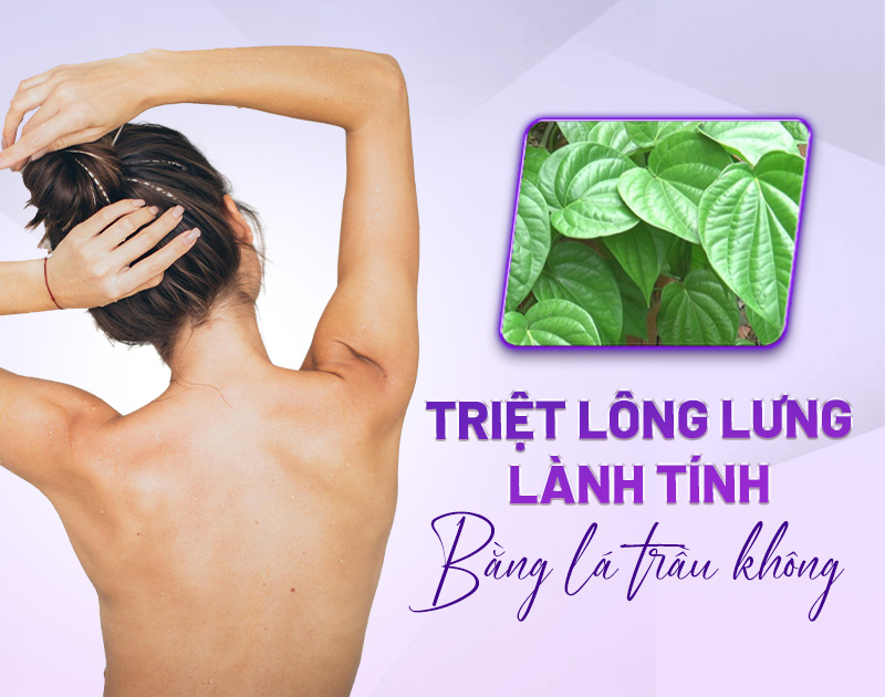 triệt lông lưng ở đâu triệt lông lưng ở đâu