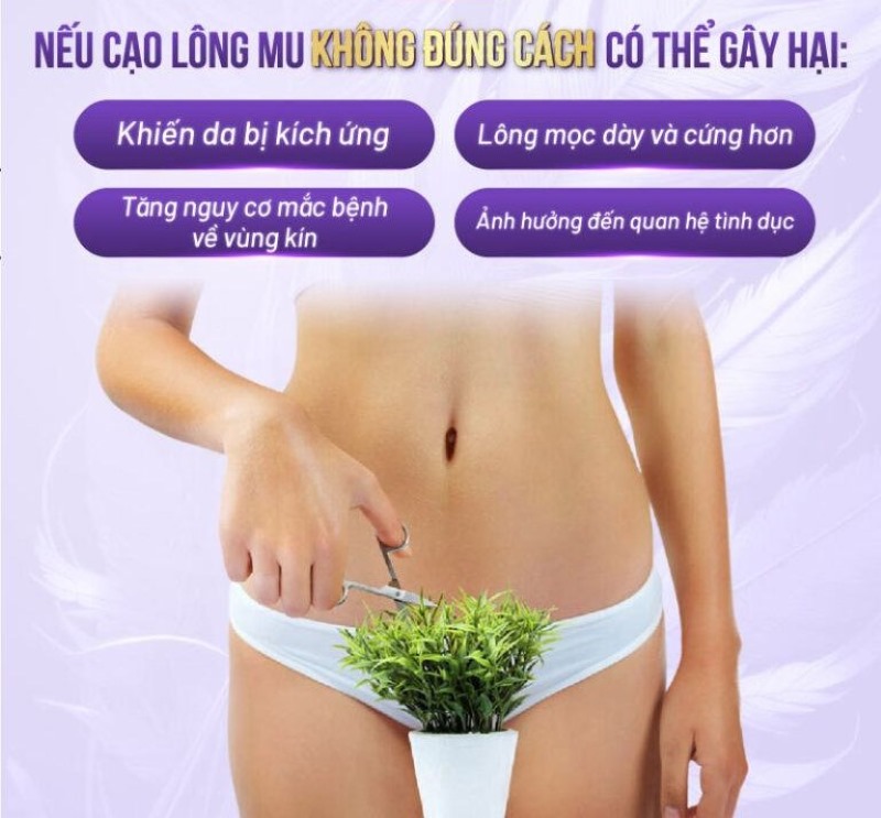 triệt lông vùng kín xong sẽ như thế nào triệt lông vùng kín xong sẽ như thế nào