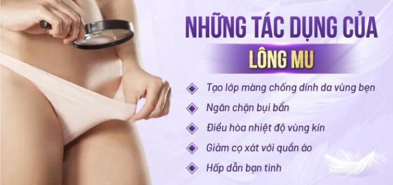 trước và sau khi triệt lông bikini trước và sau khi triệt lông bikini