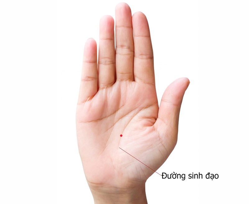 Nốt ruồi son tại đường sinh đạo