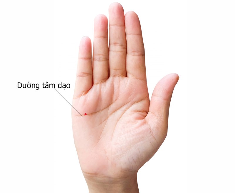 Nốt ruồi son tại đường tâm đạo