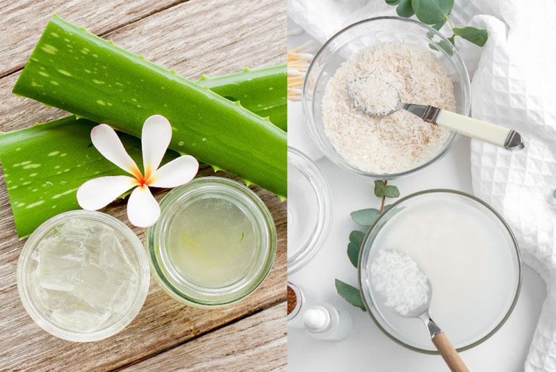 nước vo gạo và nha đam làm sáng da nước vo gạo và nha đam làm sáng da