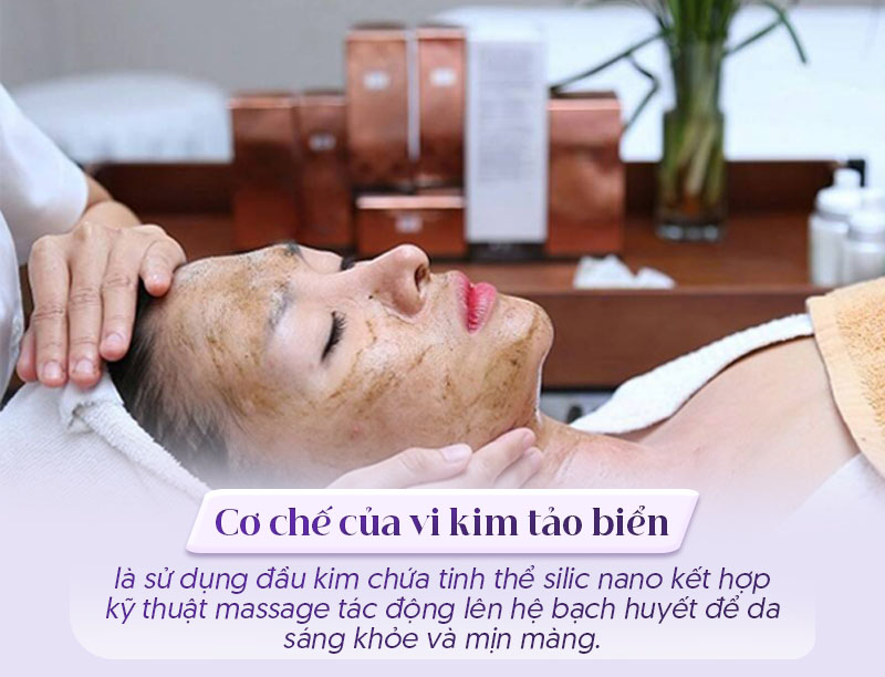 Liệu pháp vi kim tảo biển