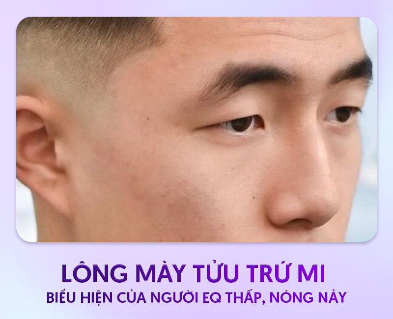 ý nghĩa tướng số của chân mày dài