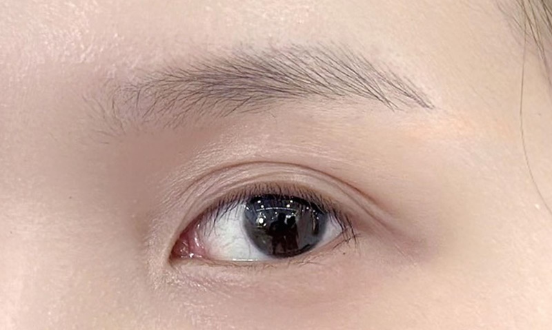 các loại lông mày nữ
