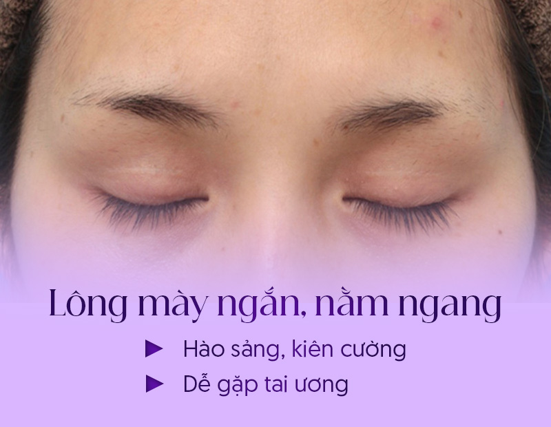 lông mày ngắn hơn mắt và nằm ngang