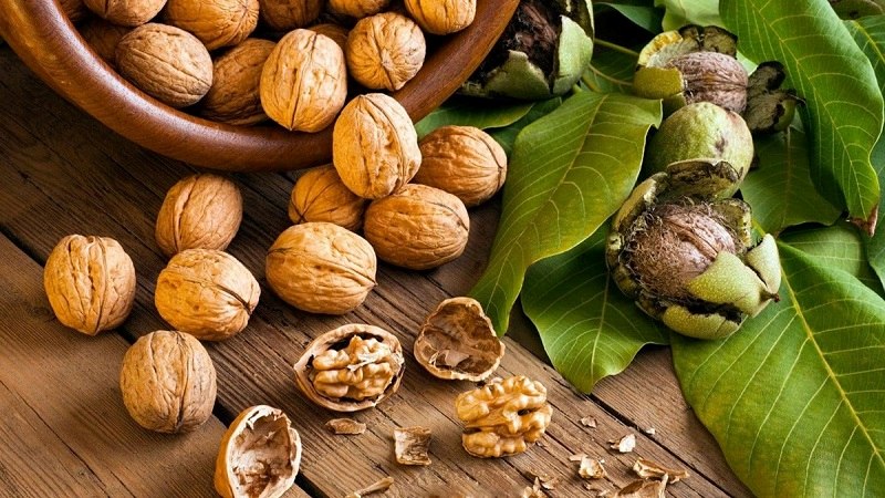 Nên Ăn gì để thái dương đầy
