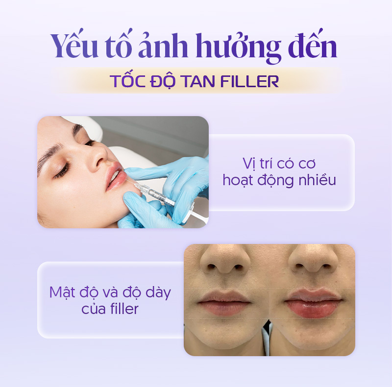 Yếu tố ảnh hưởng đến tốc độ tan filler
