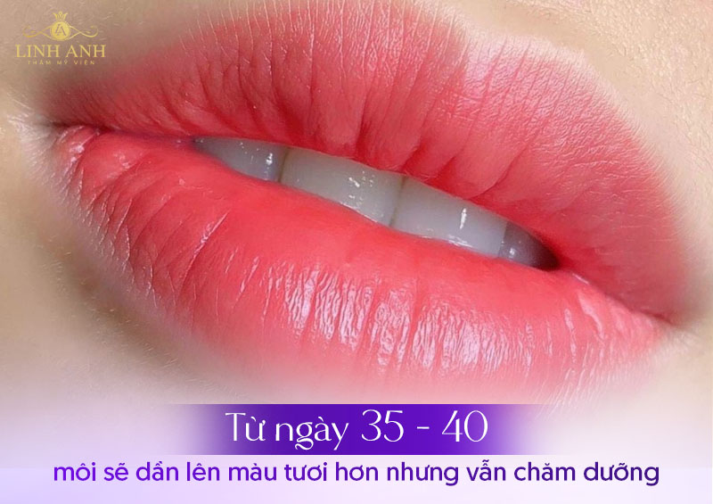 làm môi bao lâu thì bong