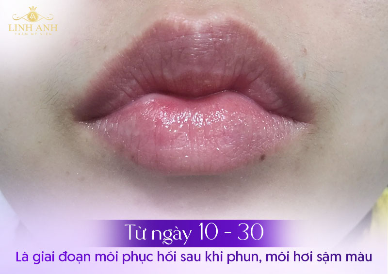 môi xăm mấy ngày thì bong
