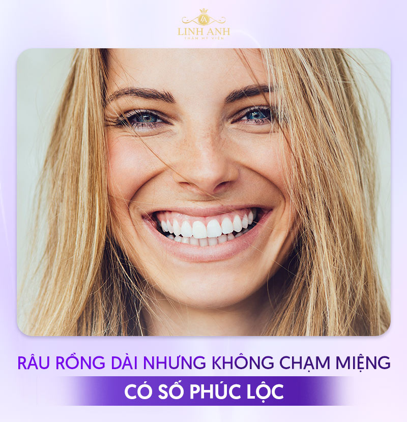 ý nghĩa của đường râu rồng ý nghĩa của đường râu rồng