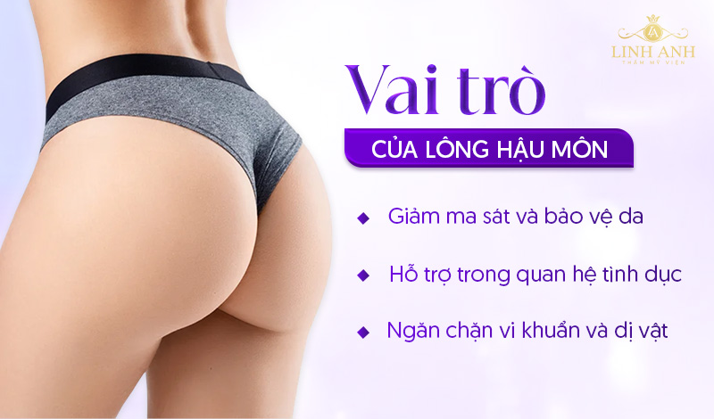 Chức năng của lông hậu môn