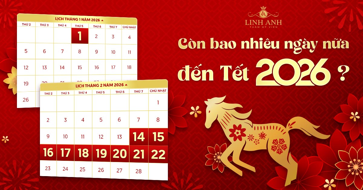 Còn bao nhiêu ngày nữa đến Tết 2026? Đếm ngược ngày đến tết Nguyên đán Bính Ngọ