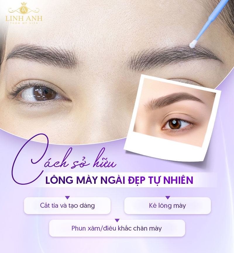 đặc điểm dáng mày tằm đặc điểm dáng mày tằm