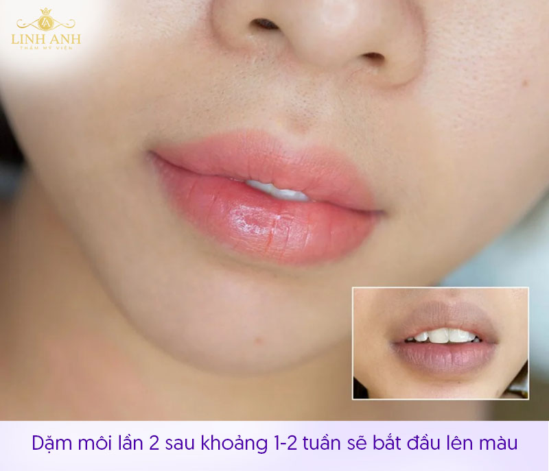 dặm môi lần 2 không lên màu