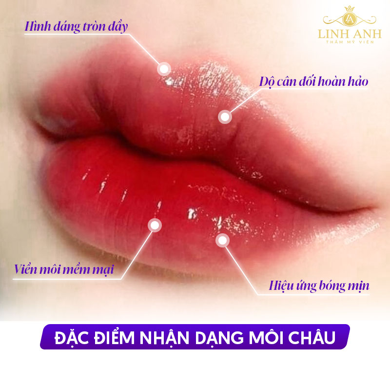 dáng môi châu dáng môi châu