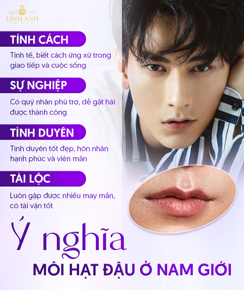 dáng môi hạt đậu dáng môi hạt đậu