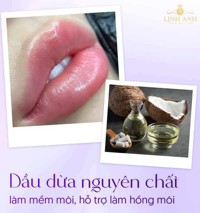 Dầu dừa bôi môi có tác dụng gì Dầu dừa bôi môi có tác dụng gì