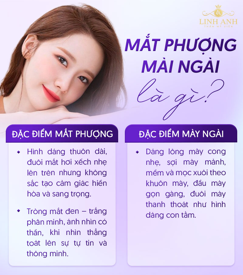 mắt phượng mày ngài là gì mắt phượng mày ngài là gì