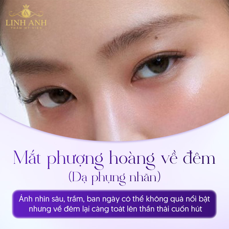 mắt phượng mày ngài trong nhân tướng học mắt phượng mày ngài trong nhân tướng học