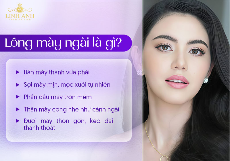 mày ngài mày ngài