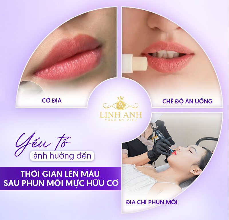 môi bao lâu thì lên màu khi phun bằng mực hữu cơ