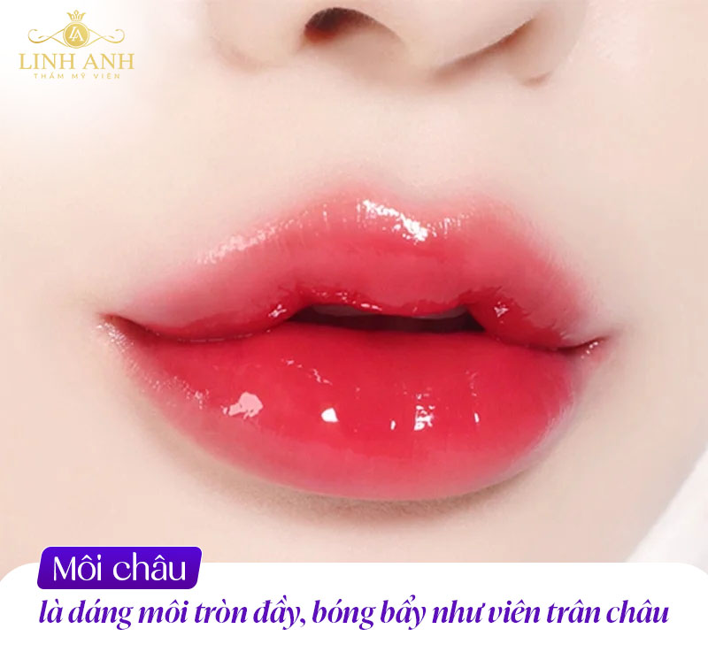 môi châu là gì môi châu là gì