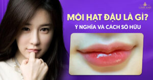 môi hạt đậu