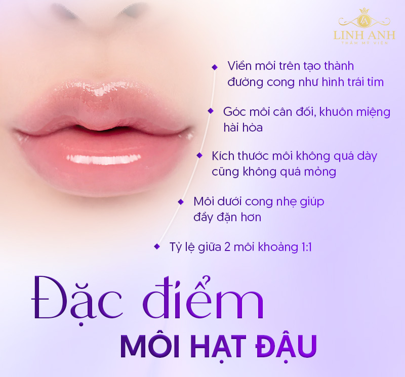 môi hạt đậu là gì môi hạt đậu là gì