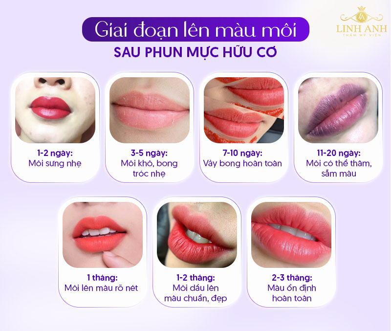 mực hữu cơ xăm môi bao lâu lên màu