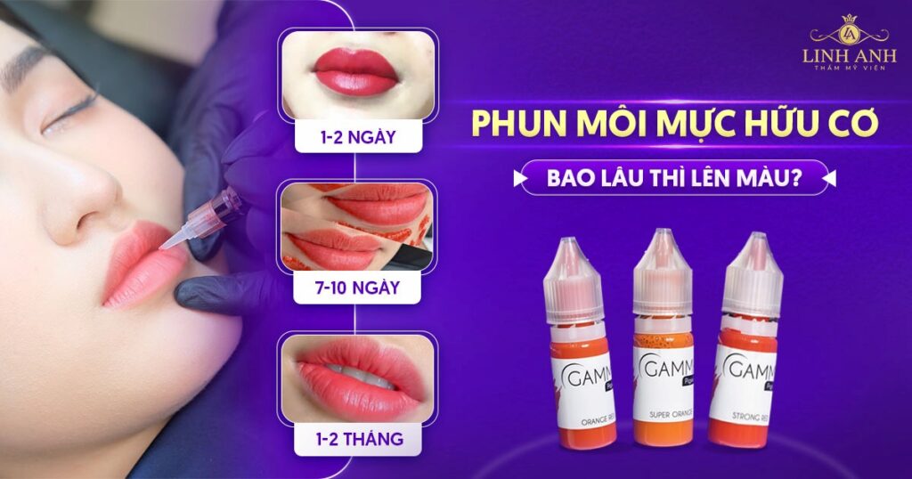phun môi mực hữu cơ bao lâu lên màu