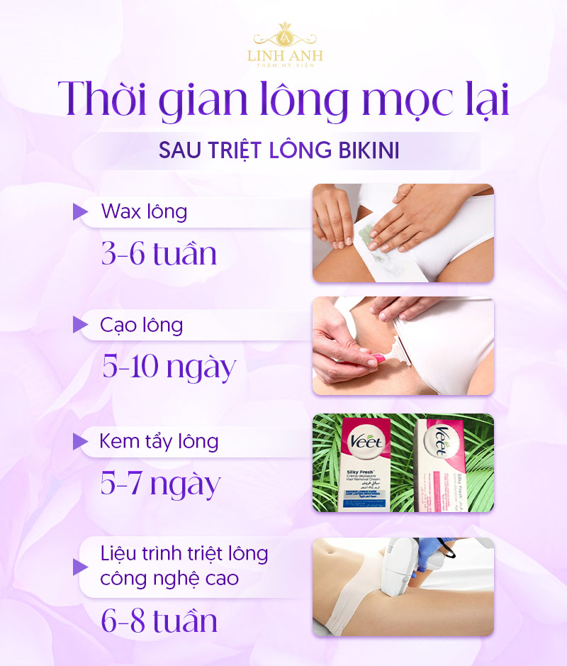 Triệt lông bikini bao lâu mọc lại Triệt lông bikini bao lâu mọc lại