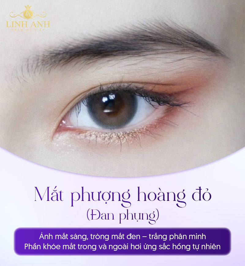 ý nghĩa của mắt phượng mày tằm ý nghĩa của mắt phượng mày tằm